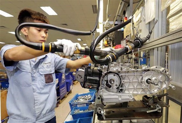 Supporting industry firms anticipate high 2021 growth hinh anh 1