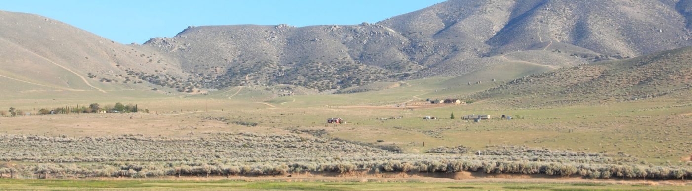 US cattle herd, California