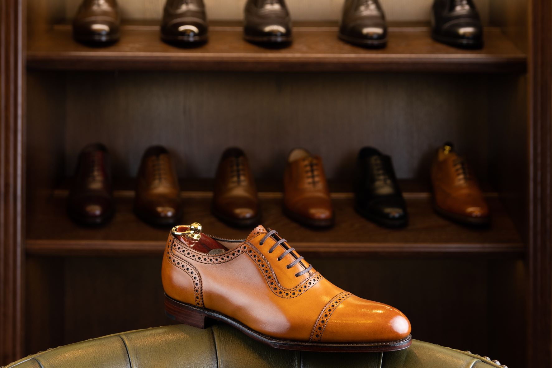 https://campaign-image.com/zohocampaigns/296670000035046020_zc_v83_1641848517681_bigstock_brown_full_grain_leather_shoe__302251321.jpg