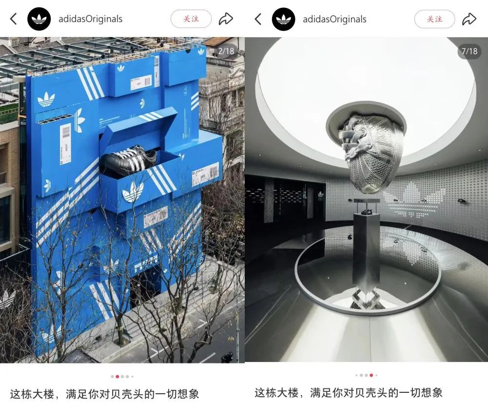 截图来源于小红书